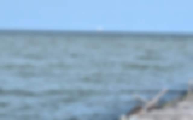 Geschützte Vorschau eines aktuellen Urlaubsfotos aus Rosolina Mare