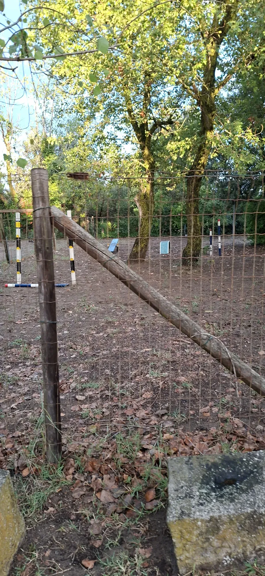 Hunde Trainings Platz