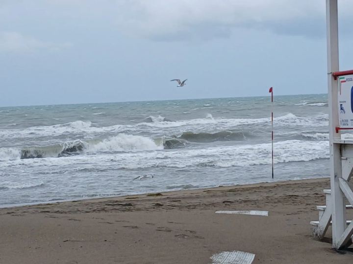 Wind of Chance · 4