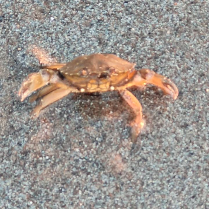 Urlaubsmoment 3