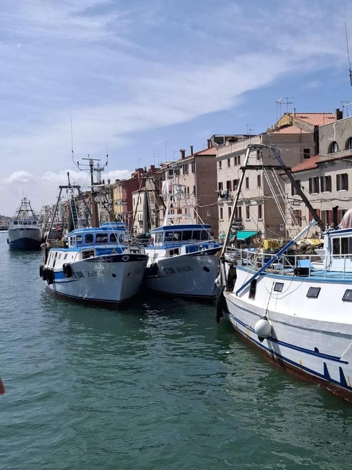 Ausflug 2025  Chioggia · 1