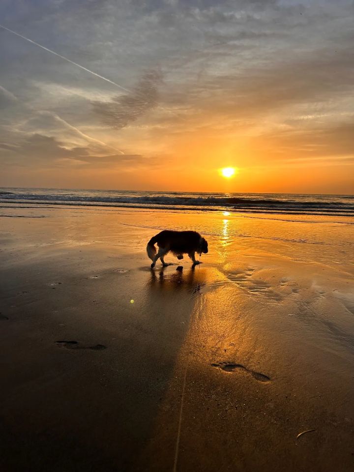 Urlaubsmoment 3