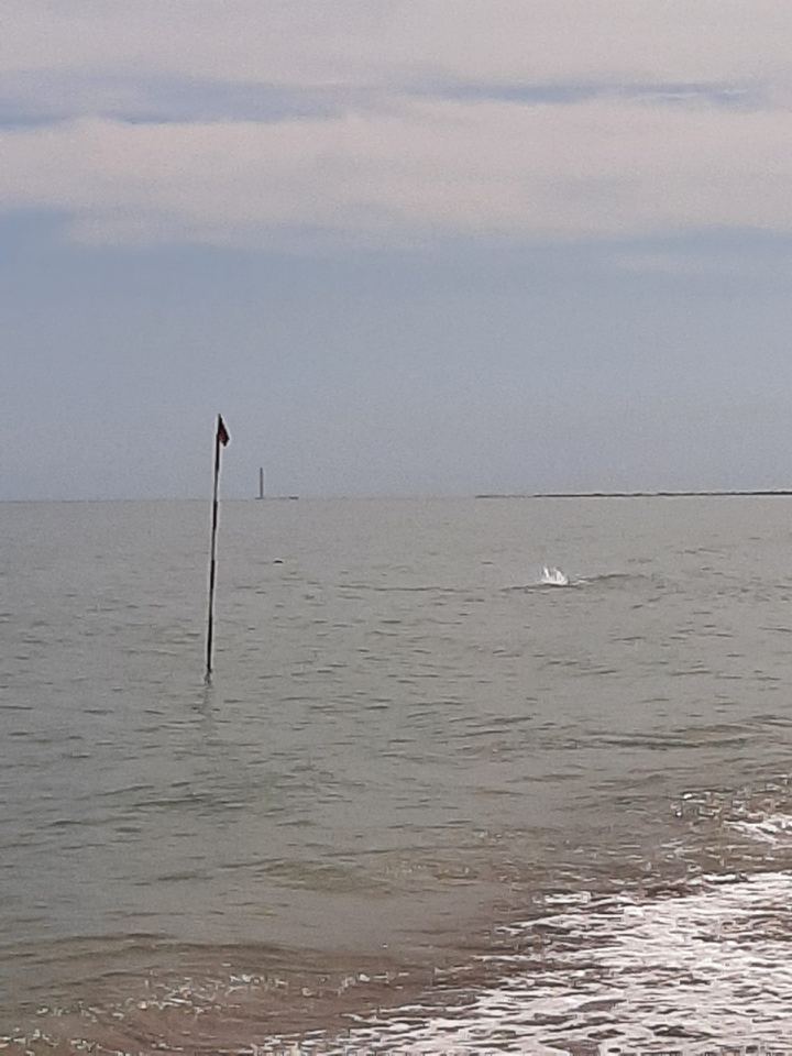 Shortein  am strand